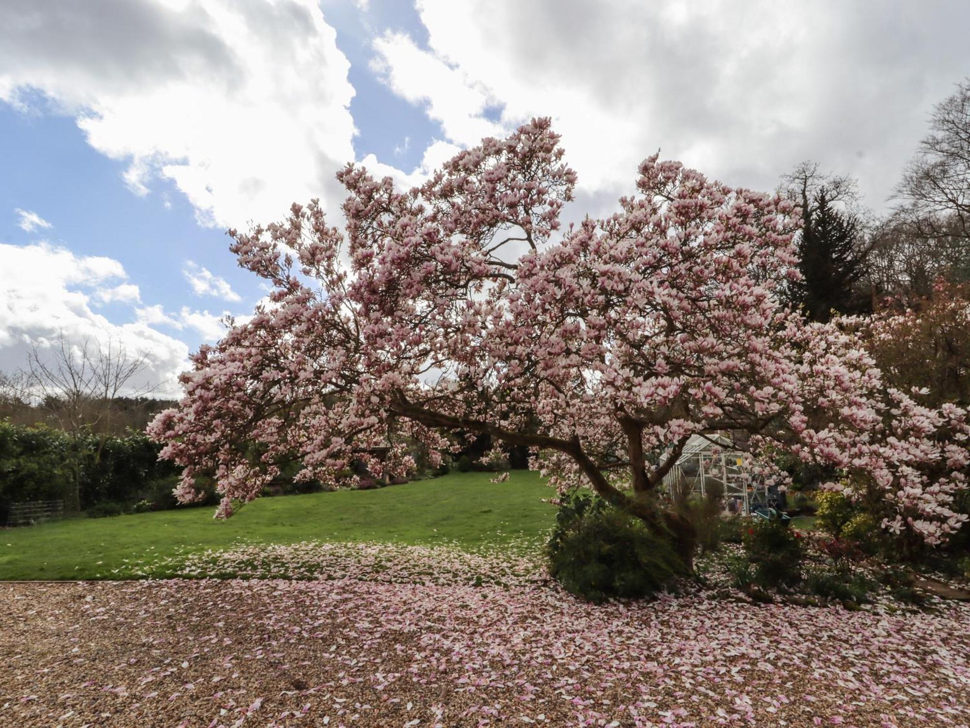 Beau Cottage Bewdley Luaran gambar